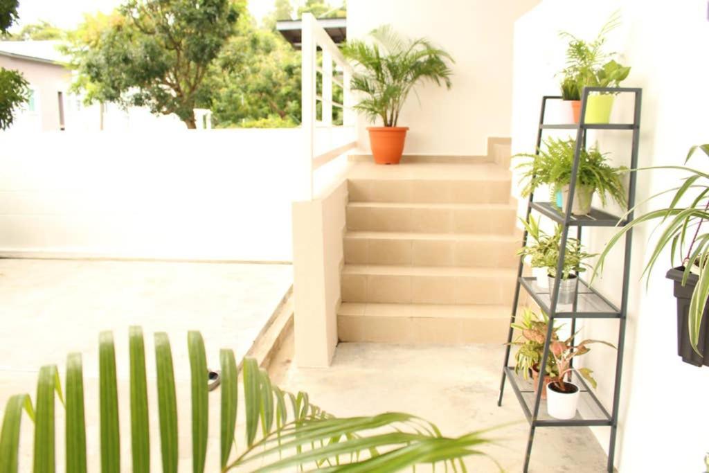 New Seaview Cozy Modern Beach House Tanjung Bungah (Penang) Exterior foto